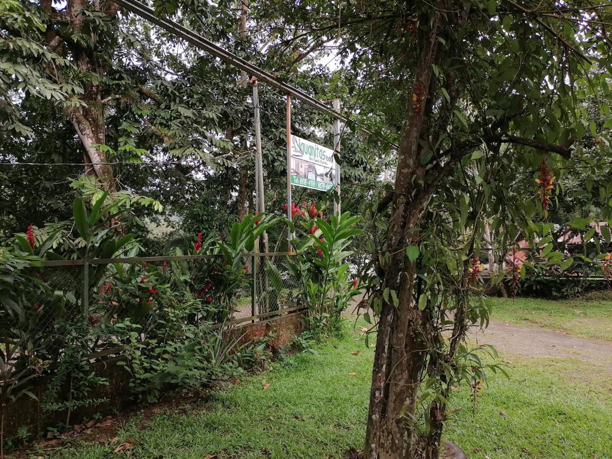 Iguanitas Lodge Pital  Buitenkant foto