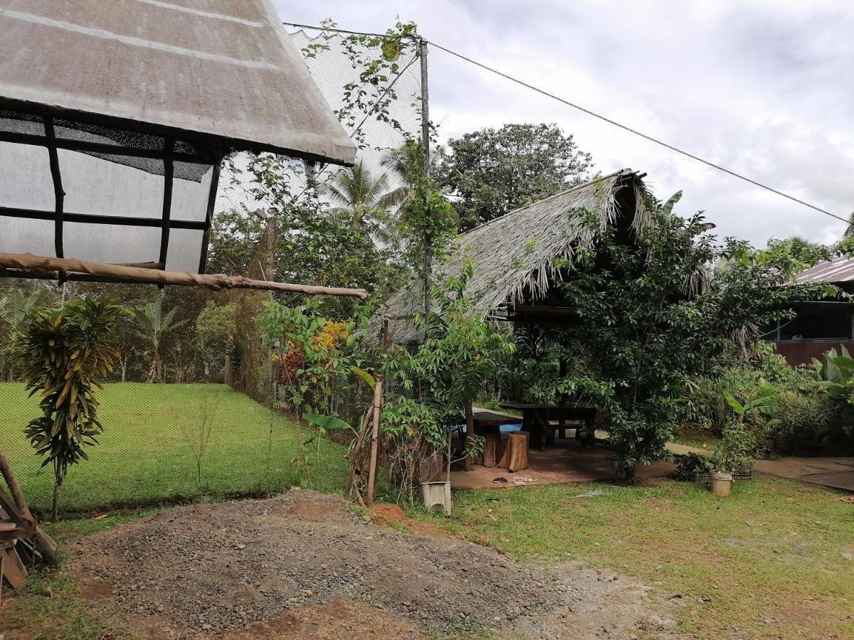 Iguanitas Lodge Pital  Buitenkant foto